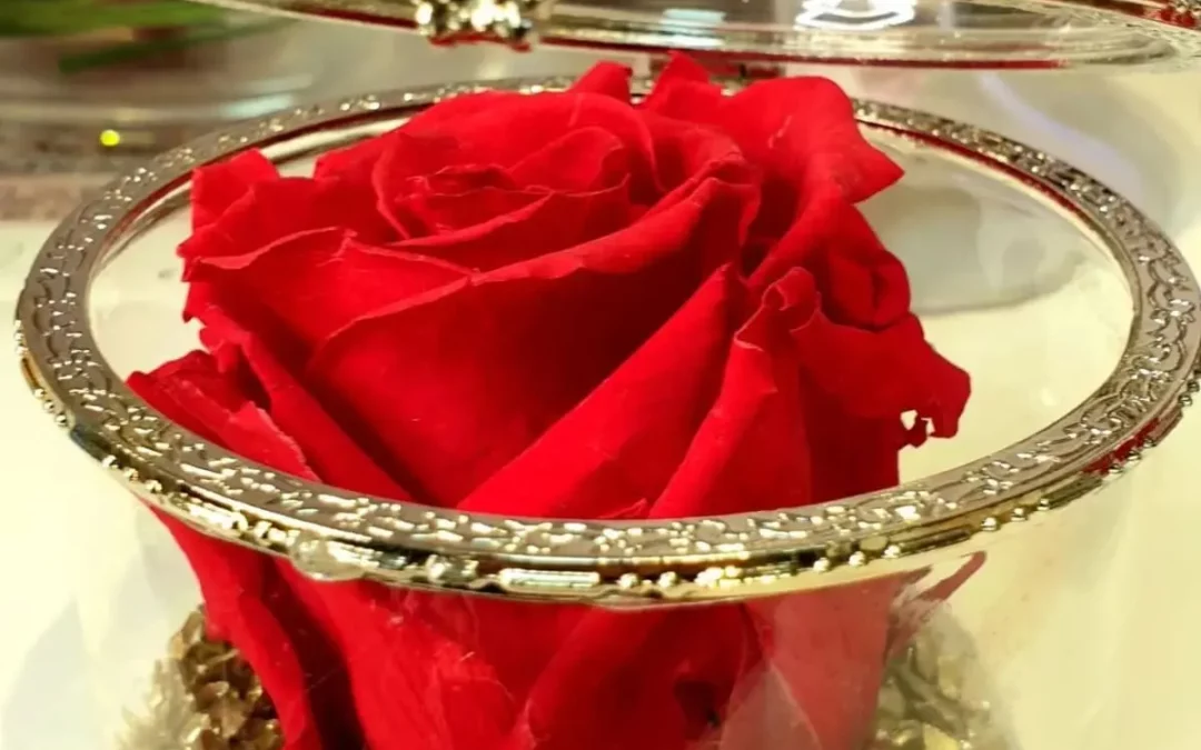 Aux Fleurs de Nice