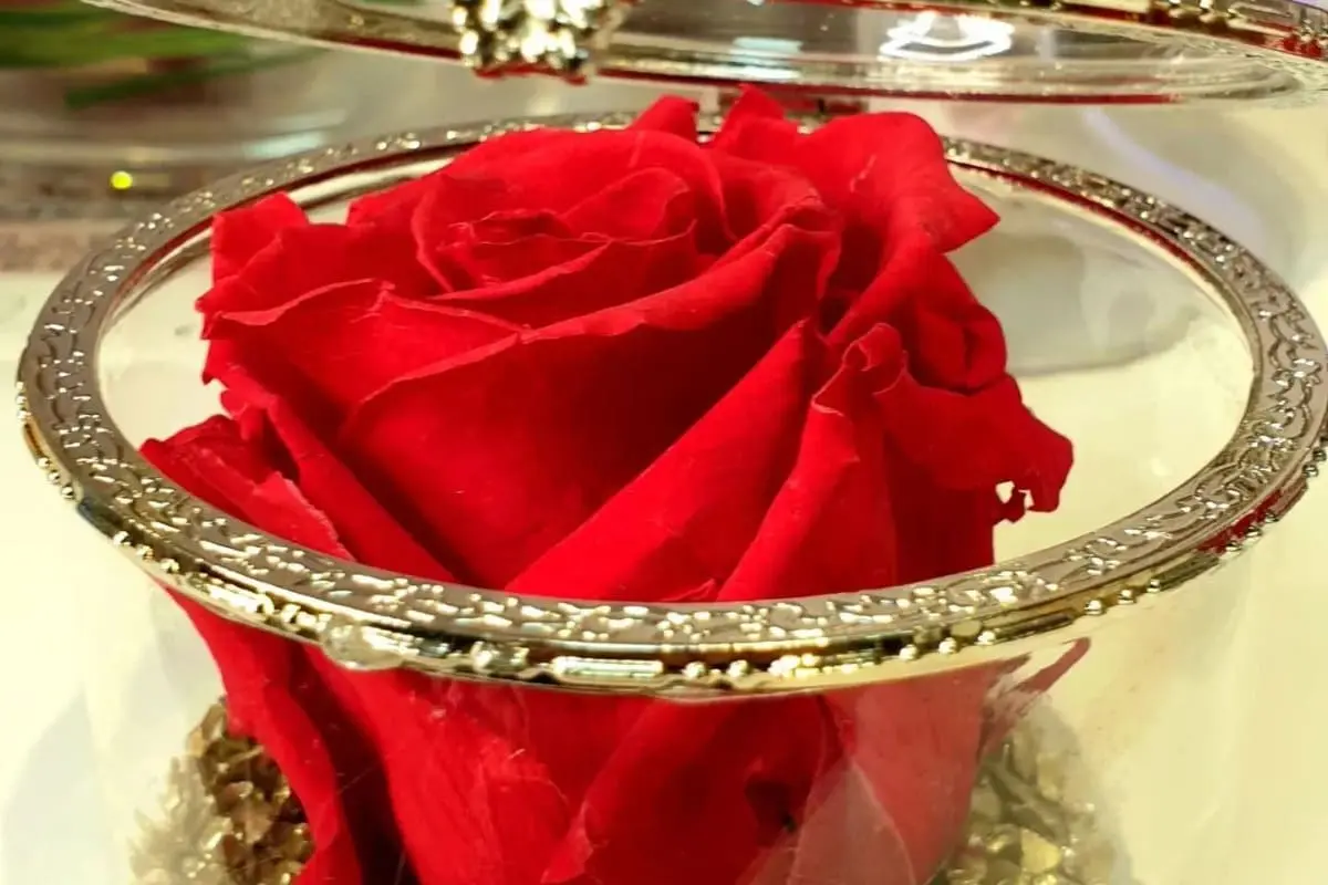 Aux Fleurs de Nice